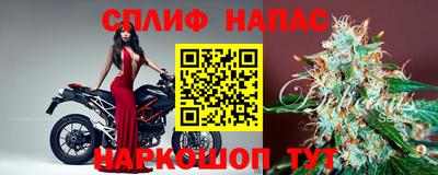 прущие крисы Кимры