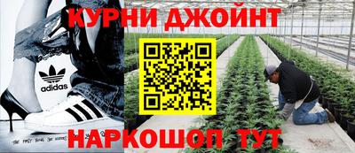 мескалин Кингисепп